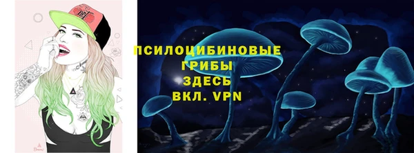 винт Касимов