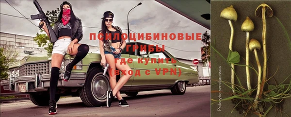 винт Касимов