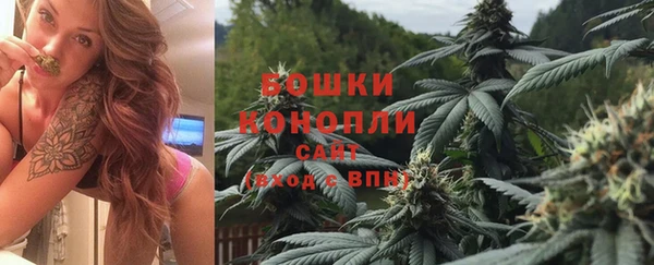 винт Касимов