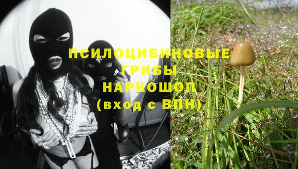 винт Касимов