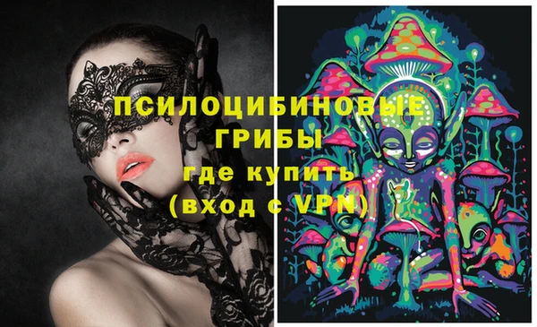 винт Касимов
