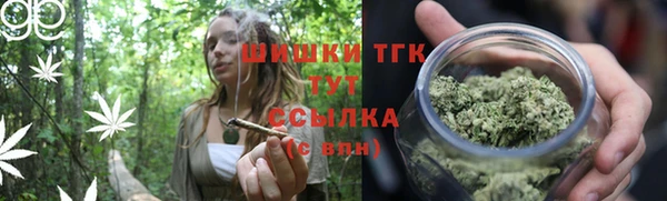 винт Касимов