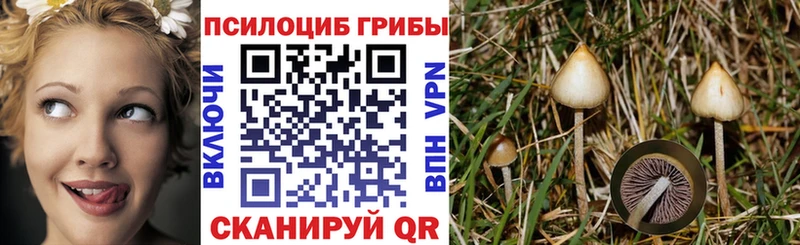 Купить закладки  Улан-Удэ  Галлюциногенные грибы ЛСД 